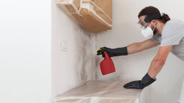 Professional Bathroom Mold Removal technician working in Williamsburg, FL