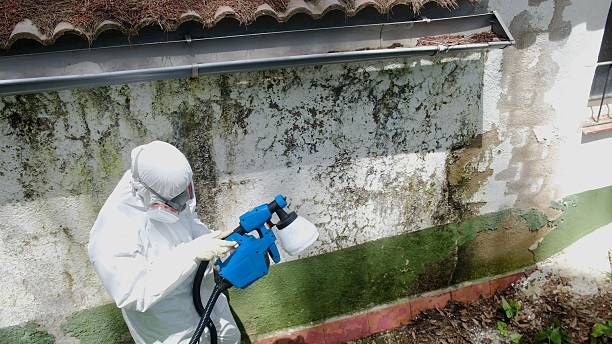 Top rated local Bathroom Mold Removal specialists in Williamsburg, FL